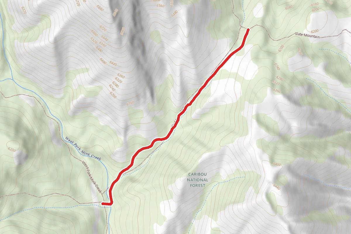 West Mink Rna