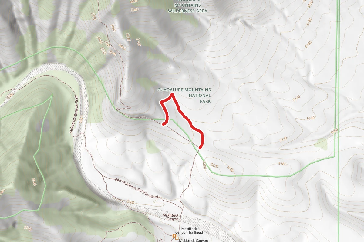 Permian Reef Geology Loop Trail