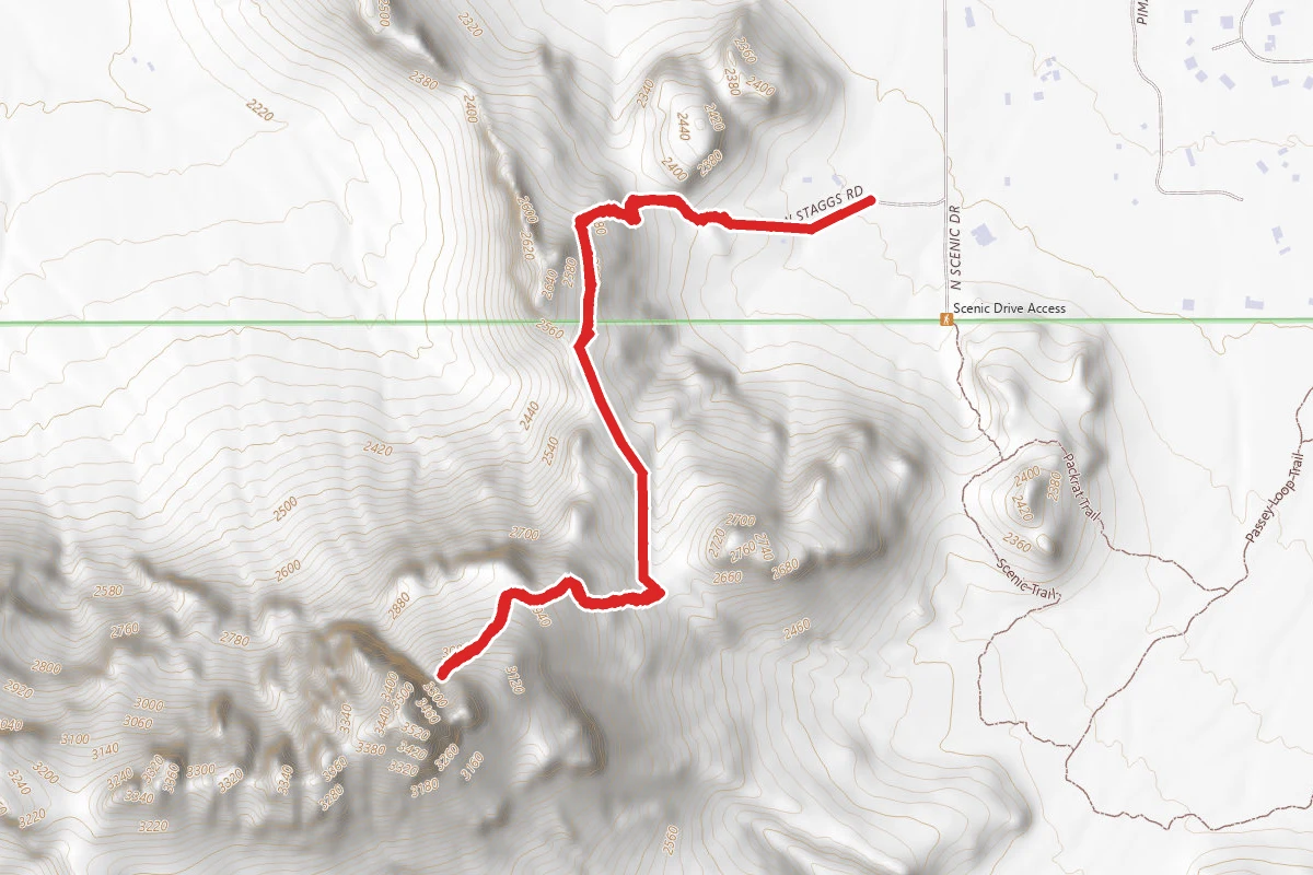 Safford Peak Trail