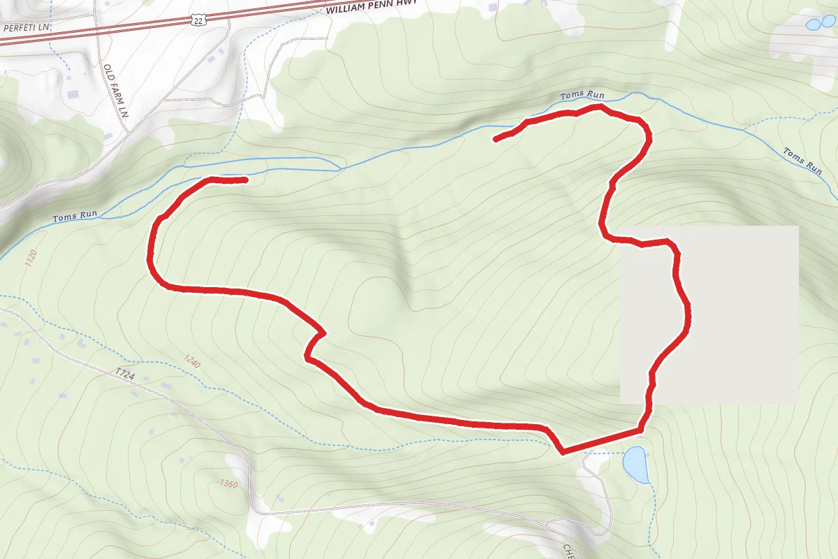 Lodge Trail
