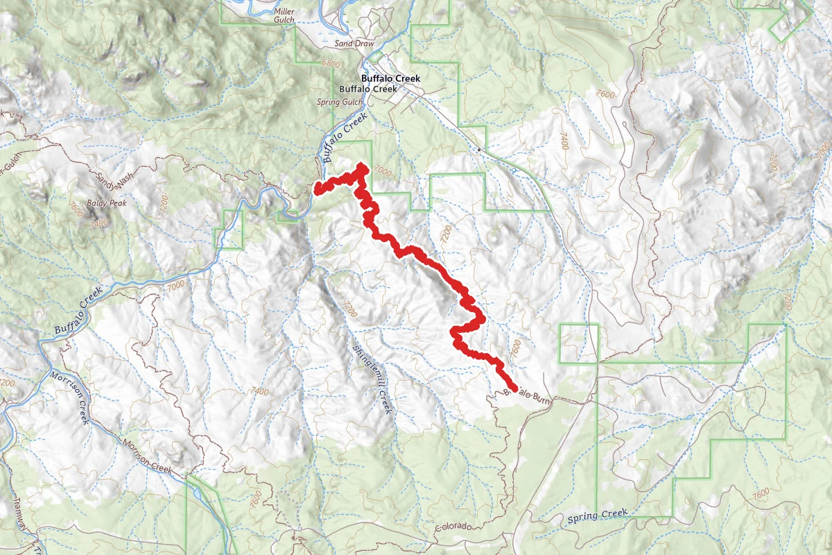 Nice Kitty Trail