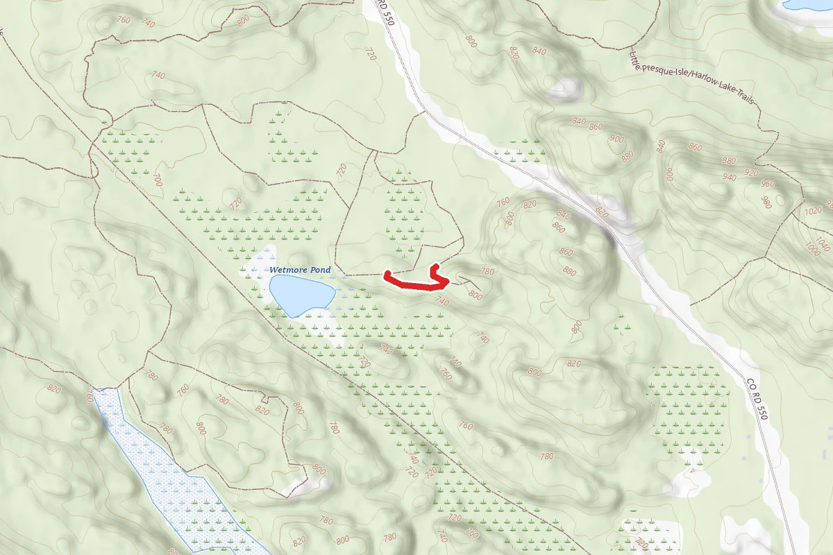 Little Presque Isle/Harlow Lake Trails