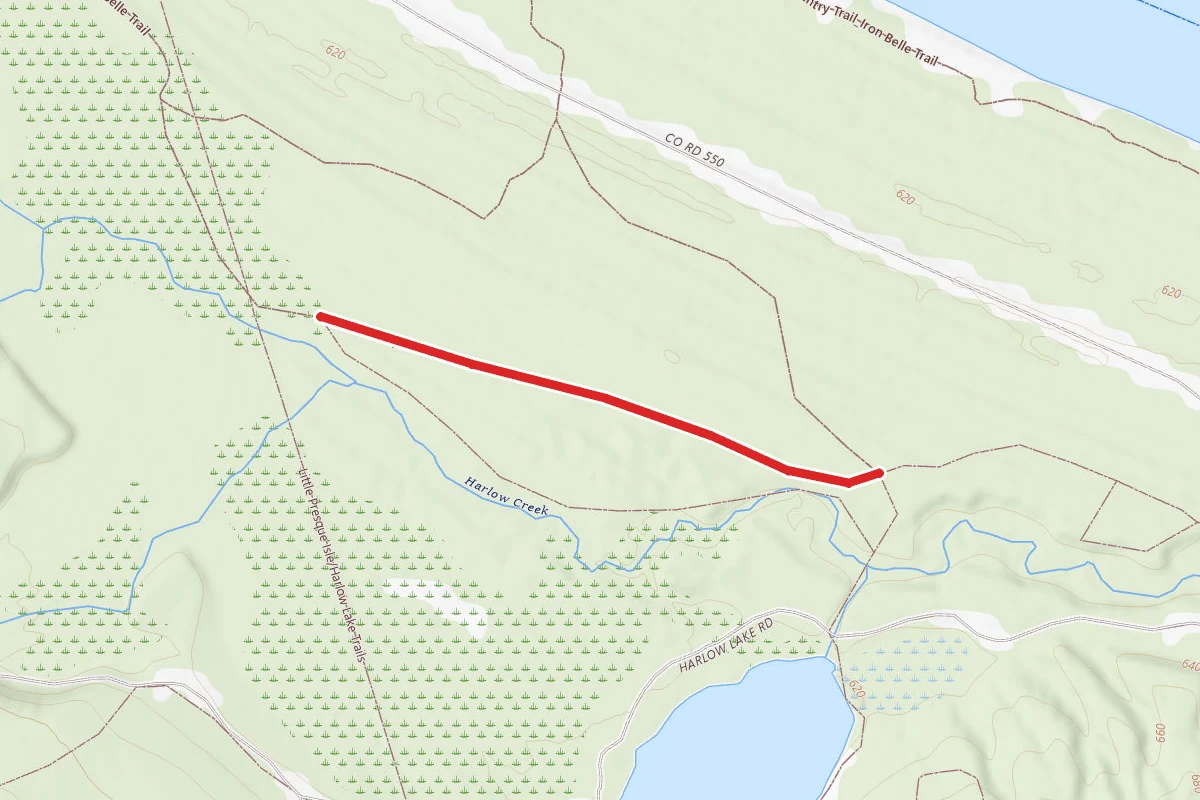 Little Presque Isle/Harlow Lake Trails - Red Pine