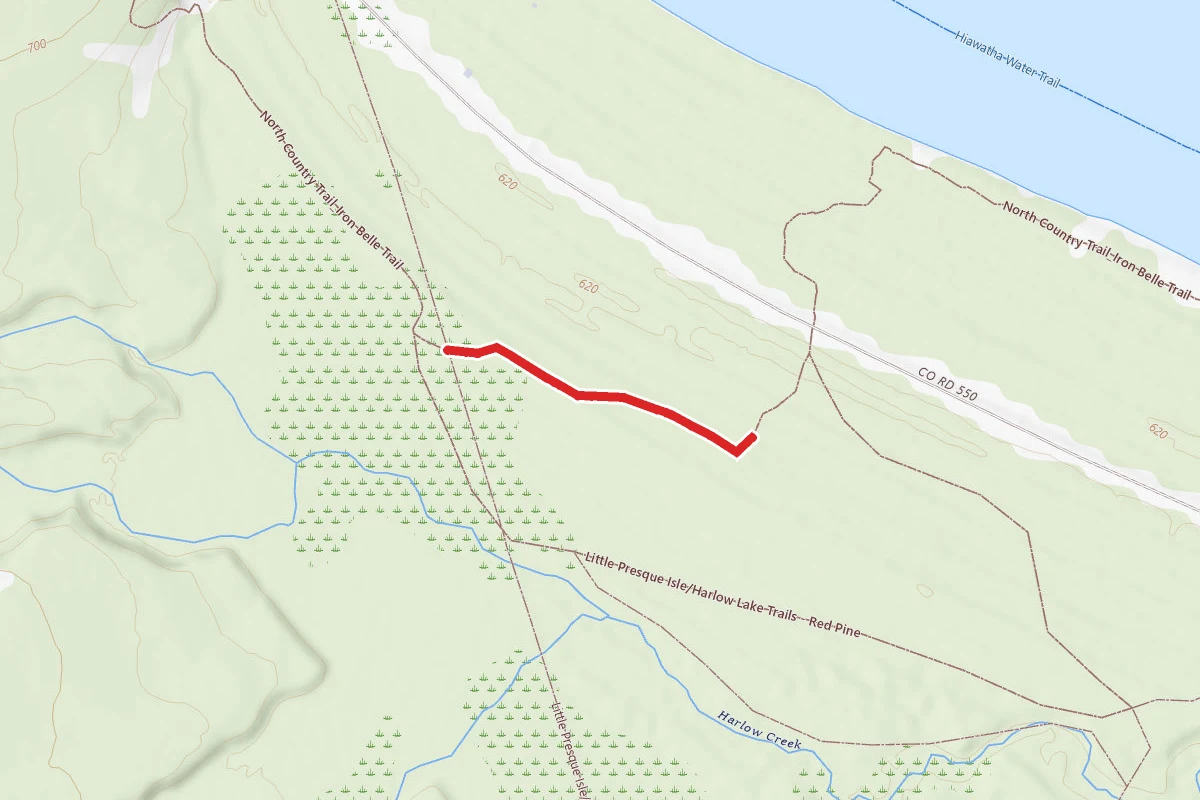 Little Presque Isle/Harlow Lake Trails - Red Pine