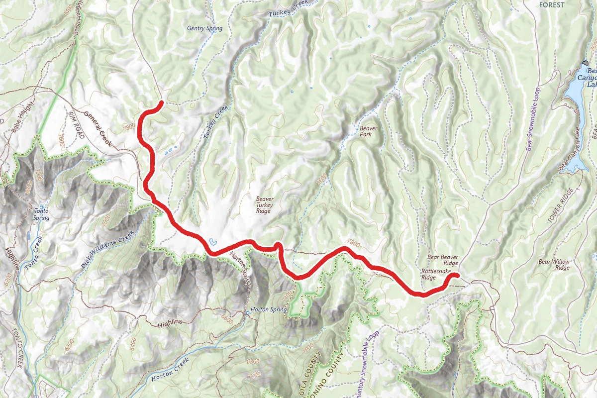 Mogollon Rim Snowmobile C
