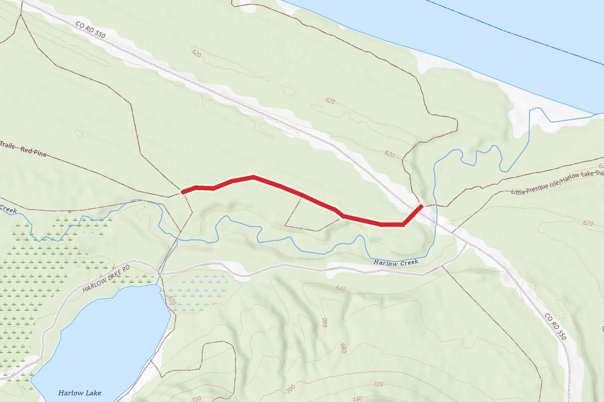 Little Presque Isle/Harlow Lake Trails - Red Pine