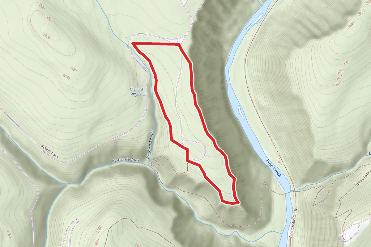Rim Trail