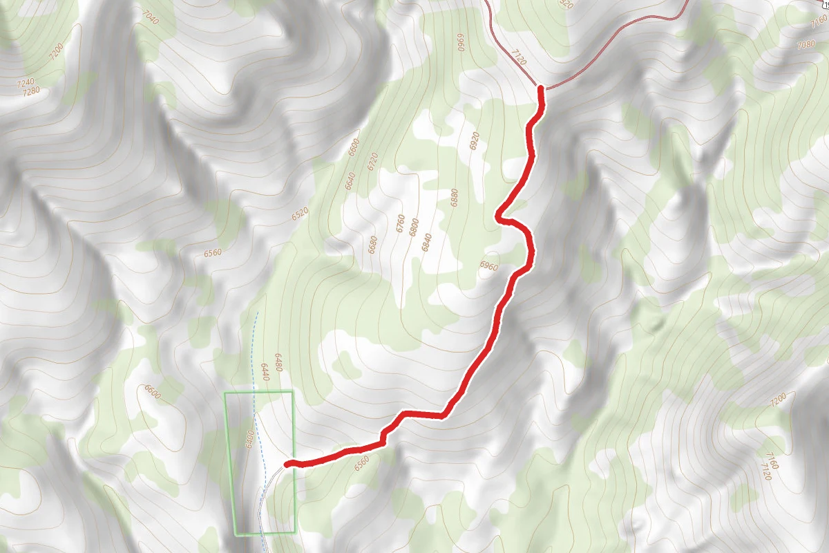 Mallet Trail