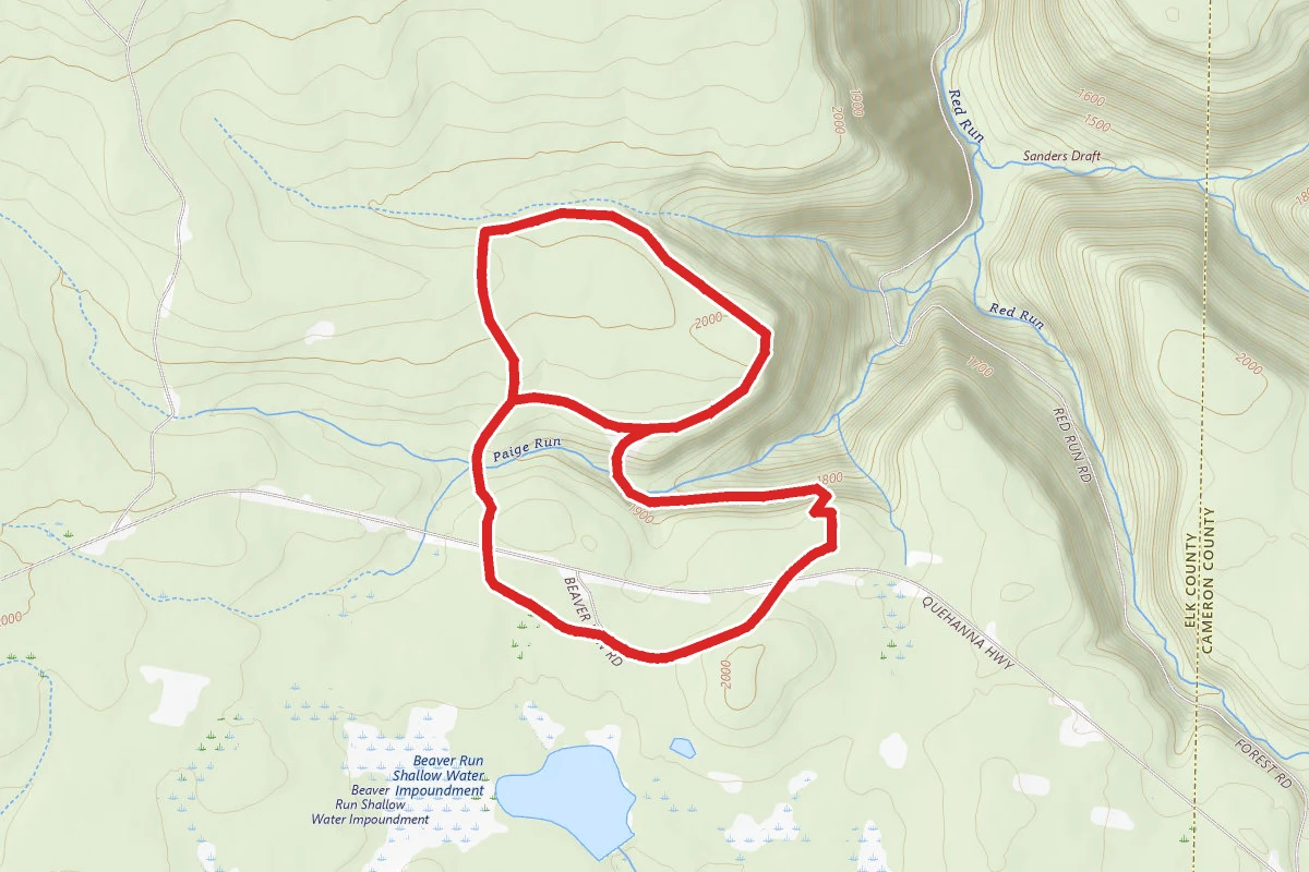 Teaberry Loop Trail