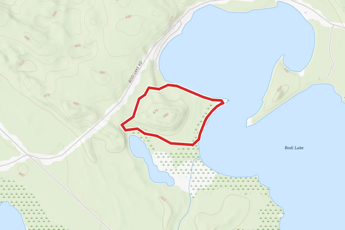 Bodi Lake Pathway