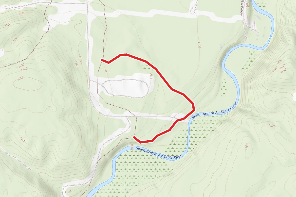 Mason Tract Pathway