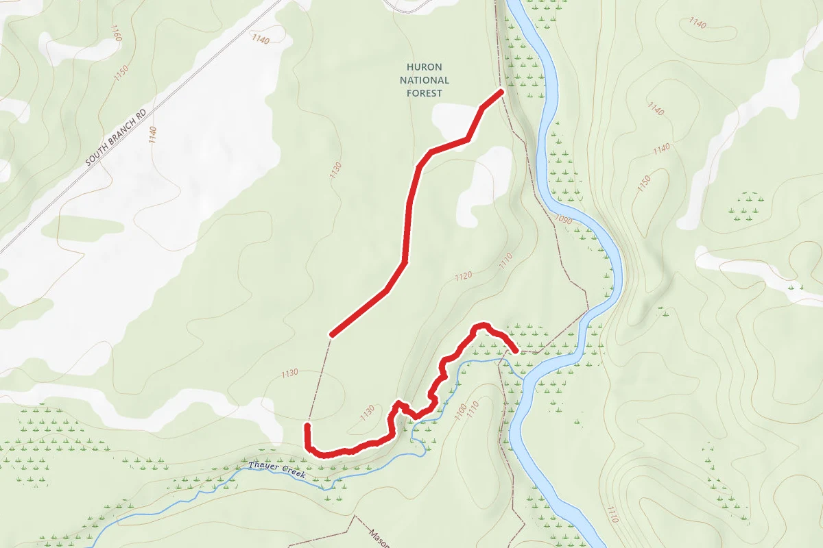 Mason Tract Pathway
