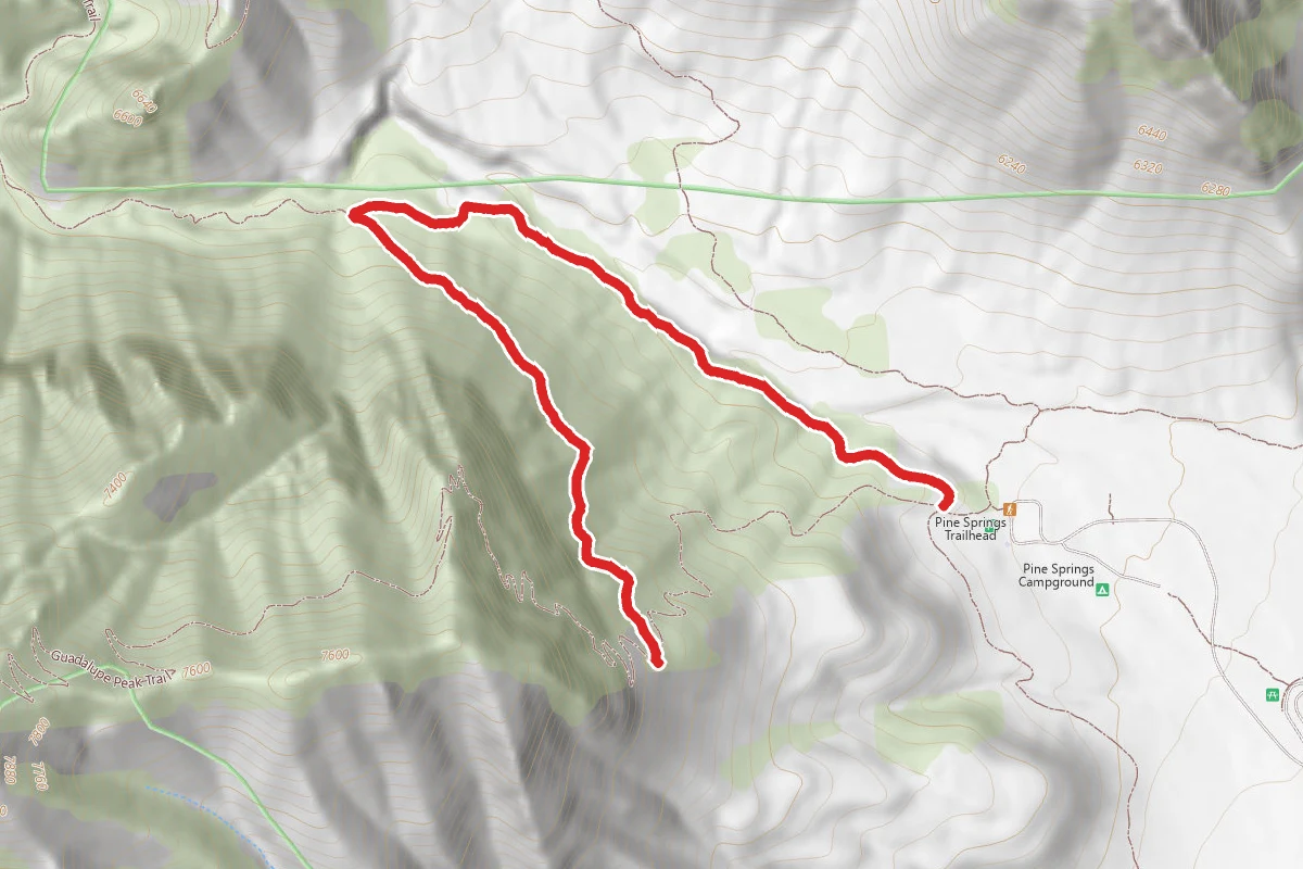 Guadalupe Peak Horse Trail