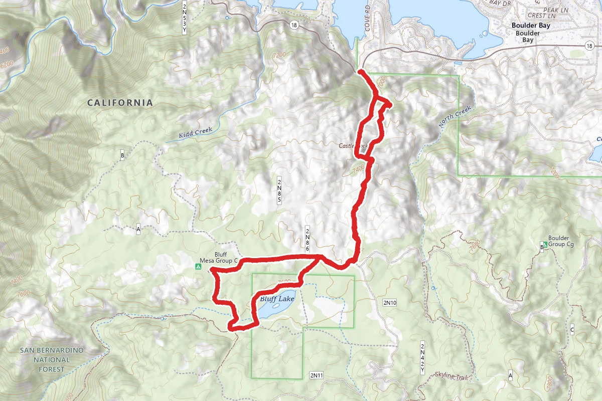 Champion Lodgepole via Castle Rock Trail