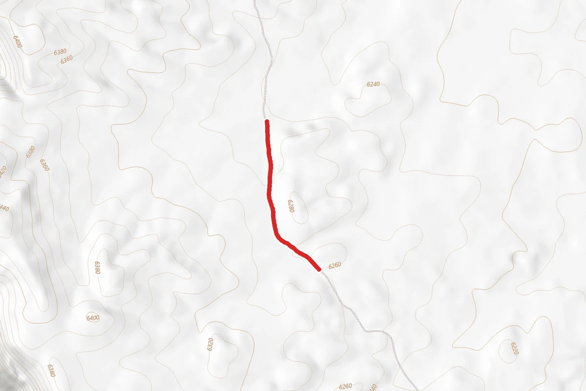 Carroll Loop