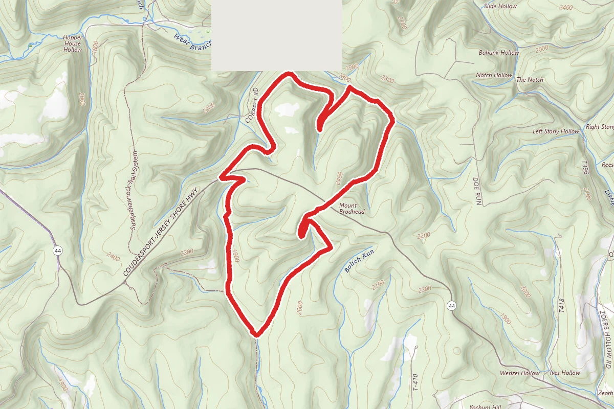 Mount Broadhead Trail