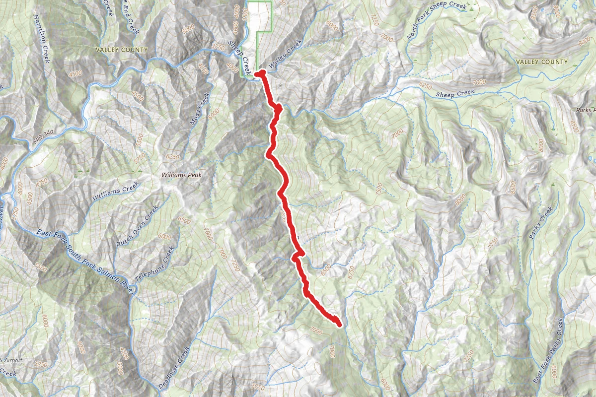 S/F Sheep Creek