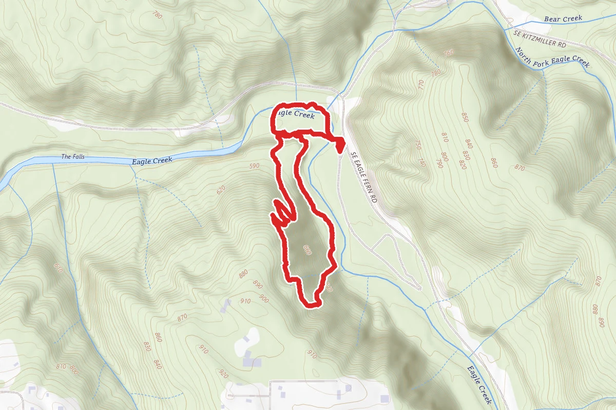 Eagle-Fern County Park Loop Trail