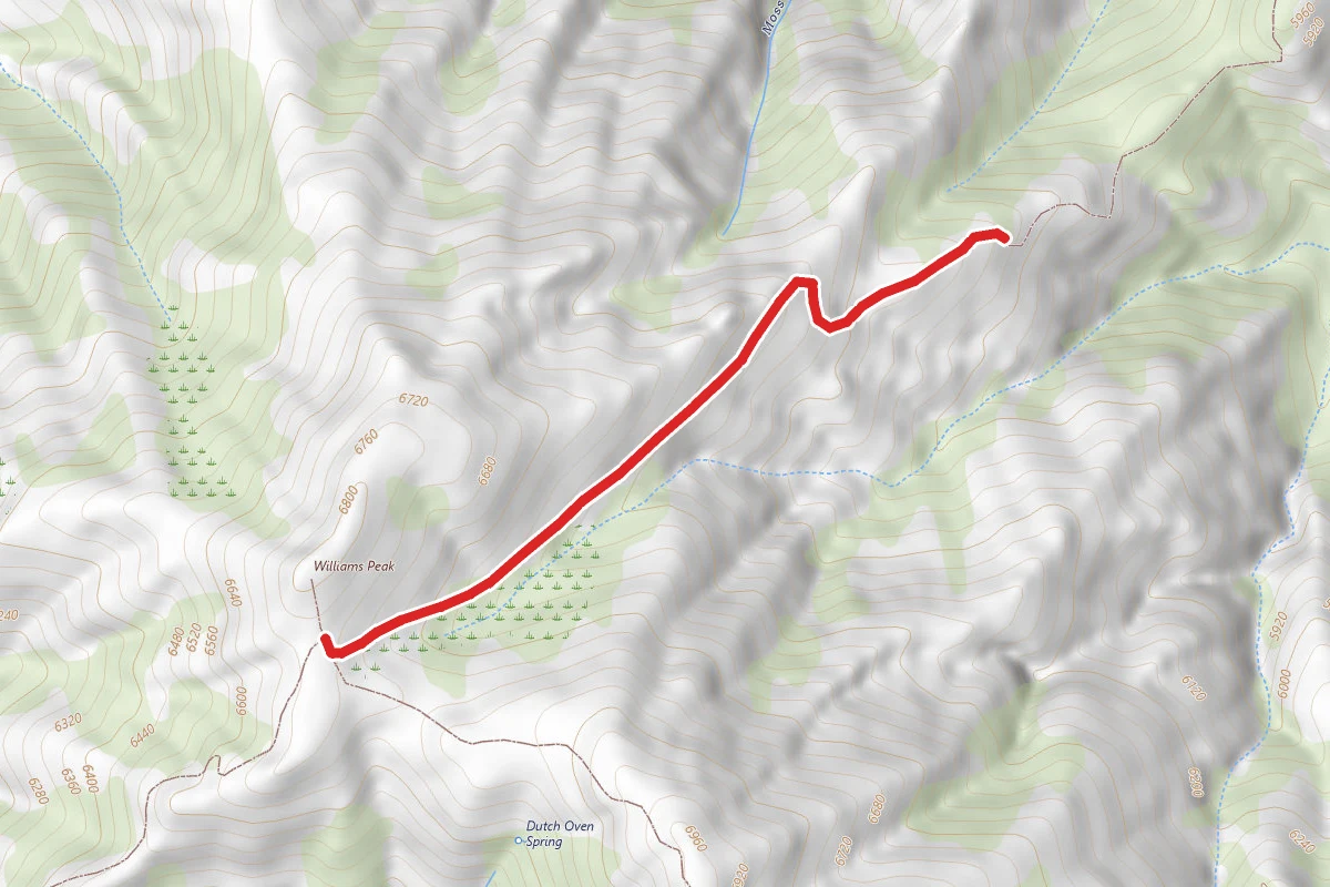 Williams Peak