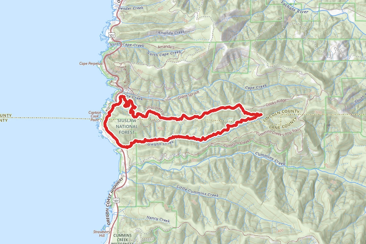 Cook's Ridge and Gwynn Creek Loop Trail