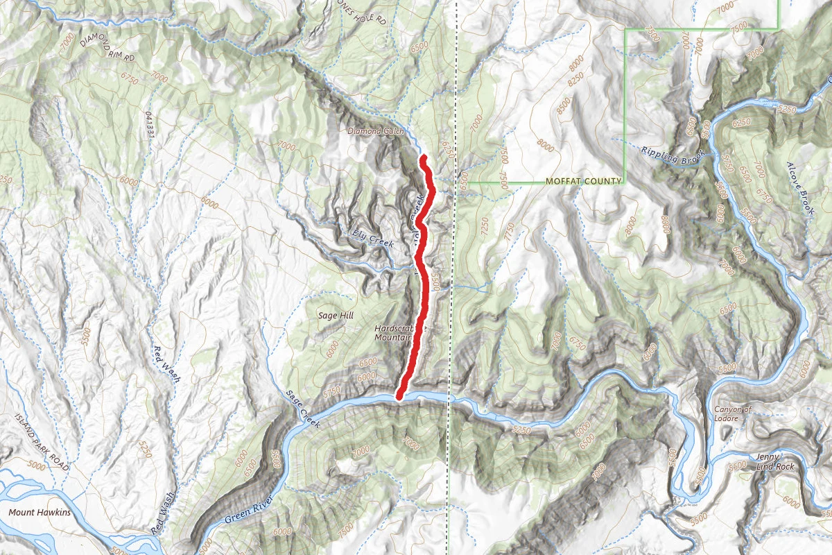 Jones Hole Trail