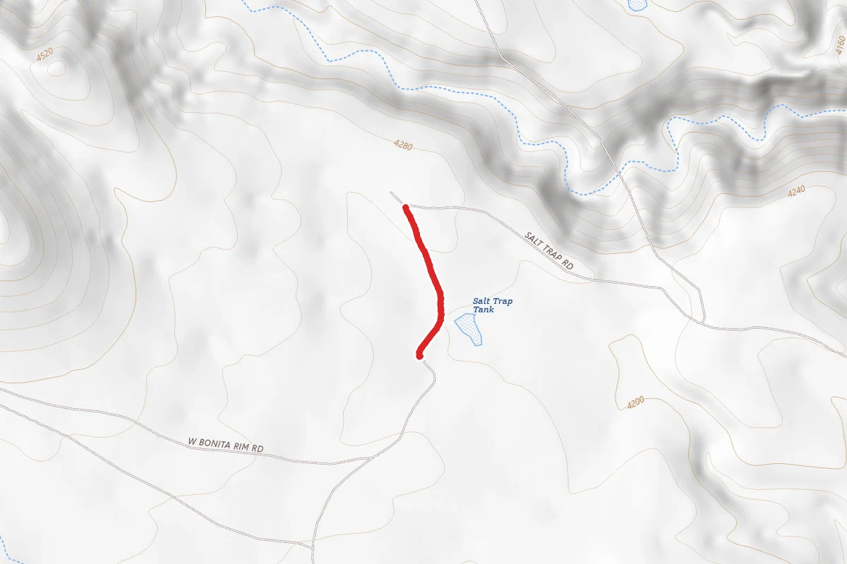 Salt Trap Road