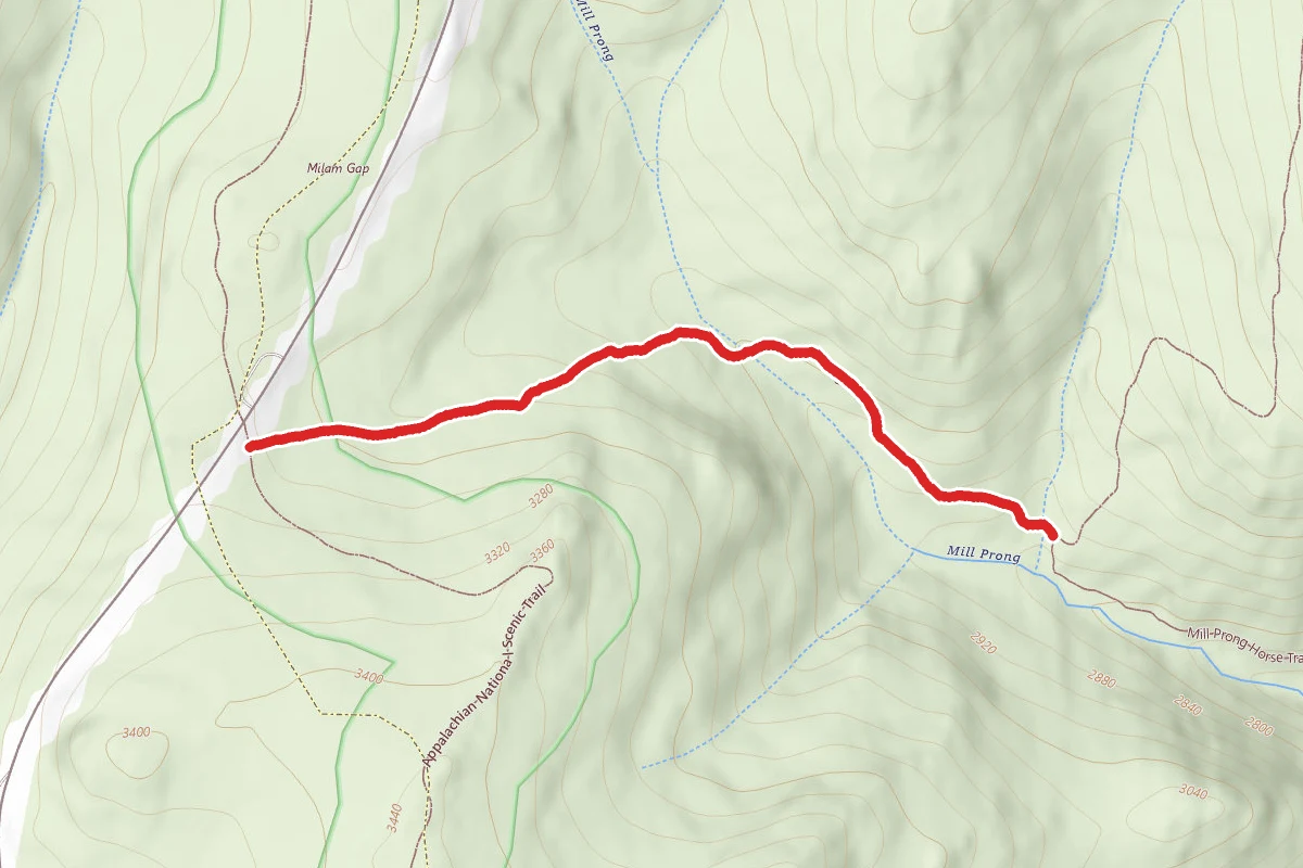 Mill Prong Trail