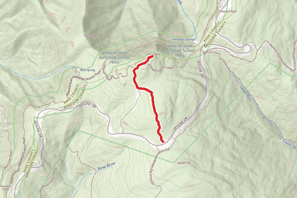 Hawksbill Trail-Upper