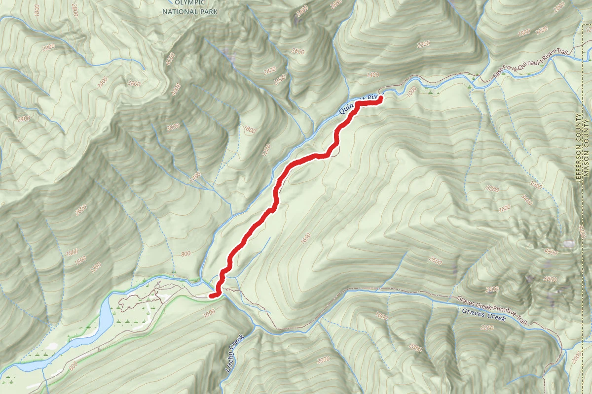 Quinault River Pony Bridge Trail