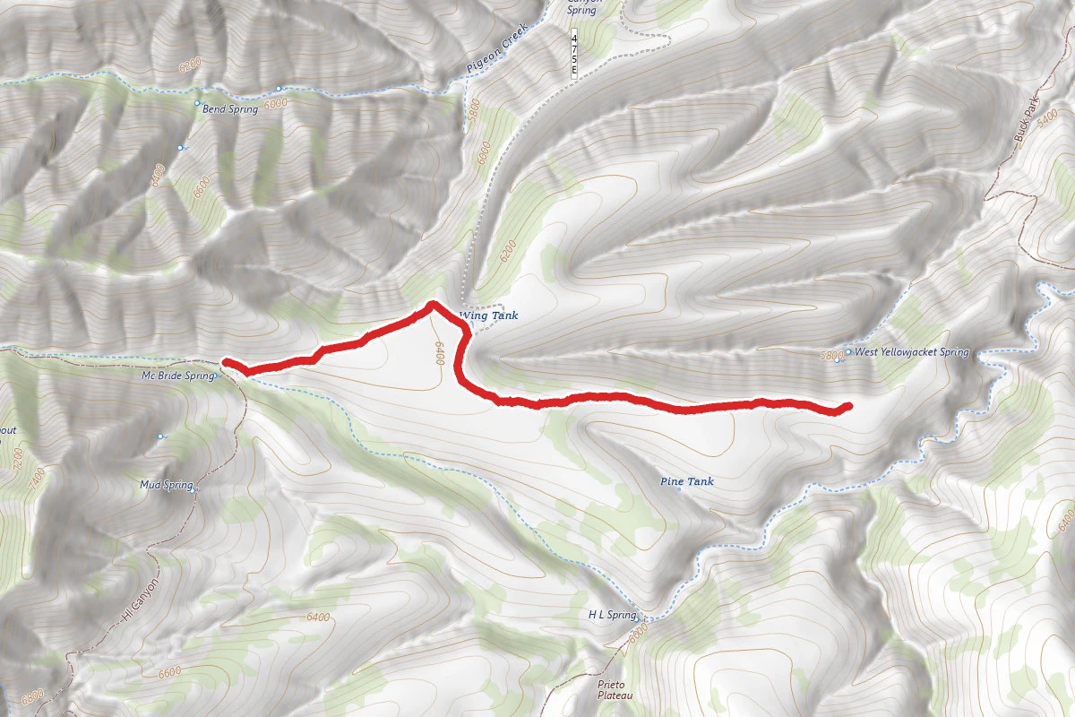 Yellowjacket Trail