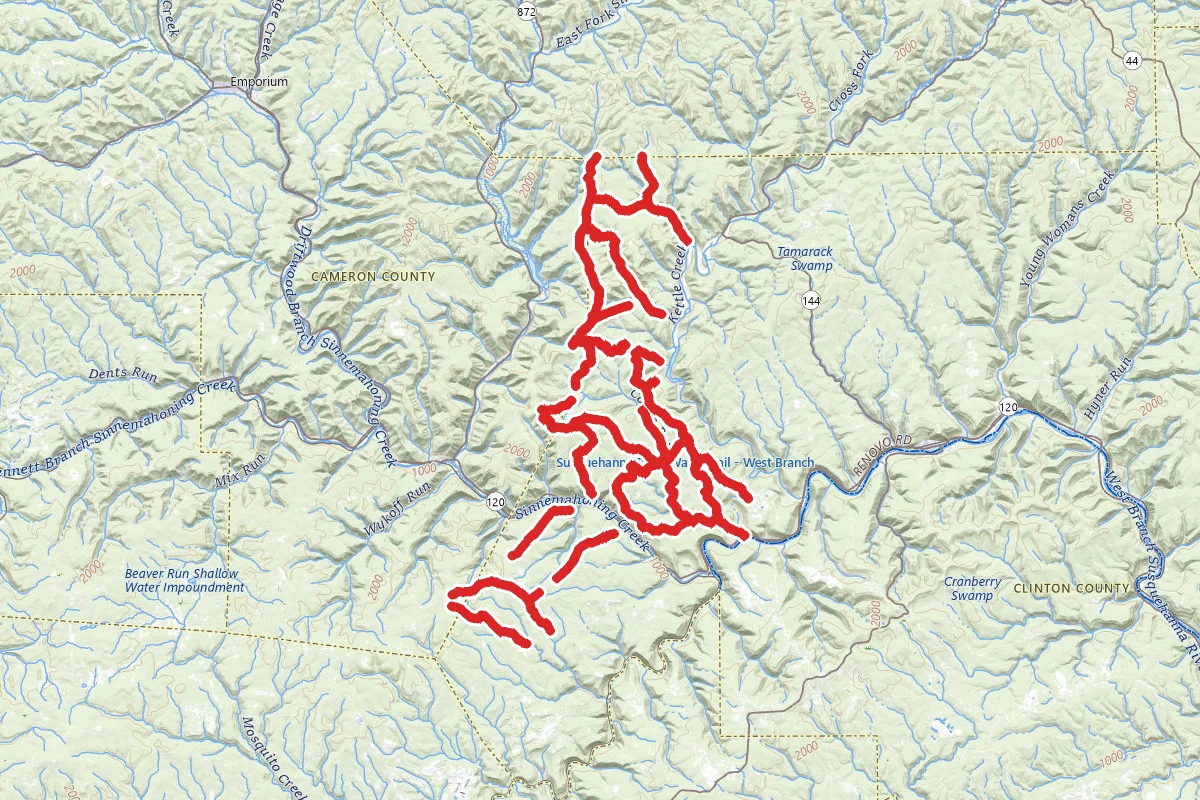 Cook's Run Division Snowmobile Trails