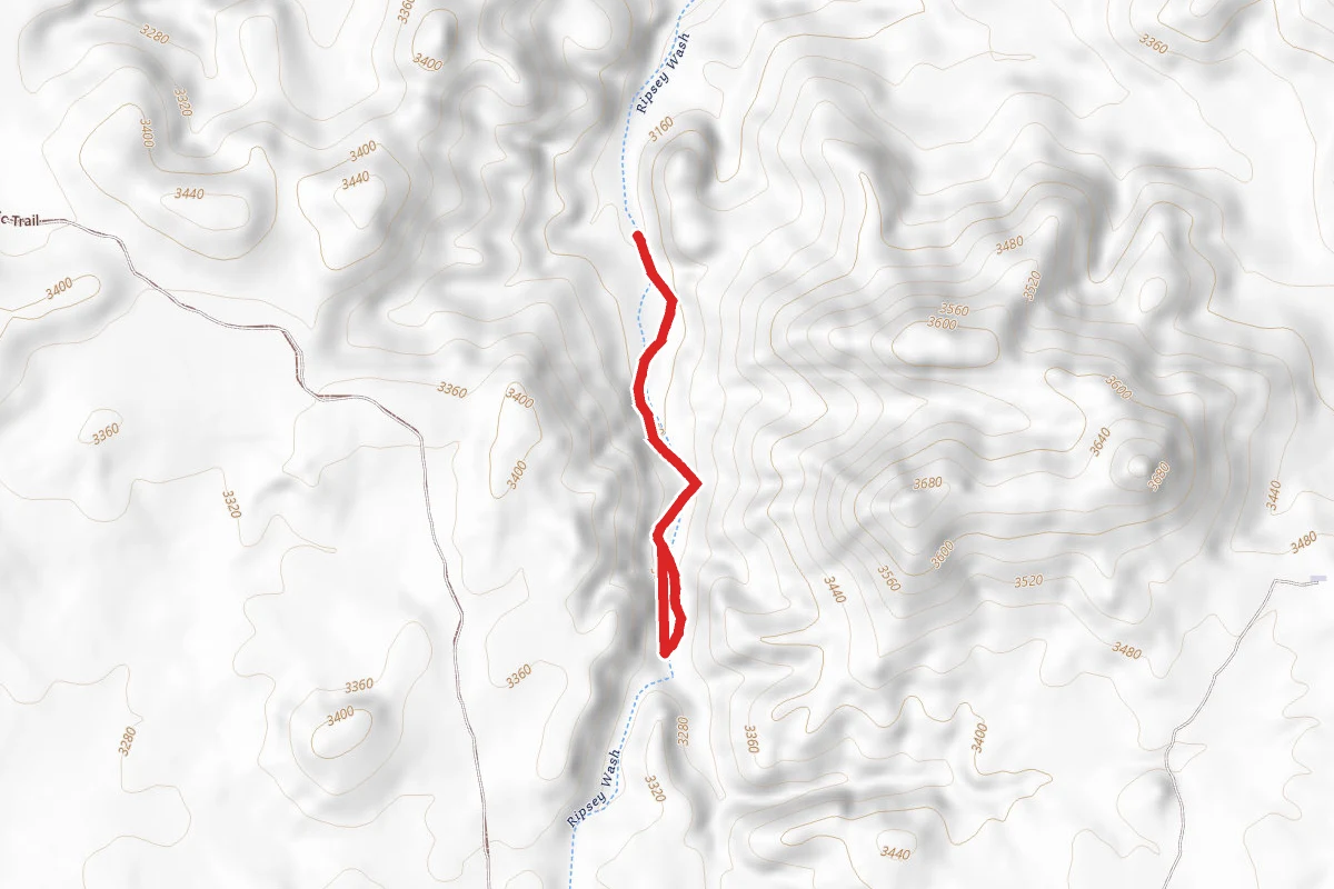 Ripsey Wash