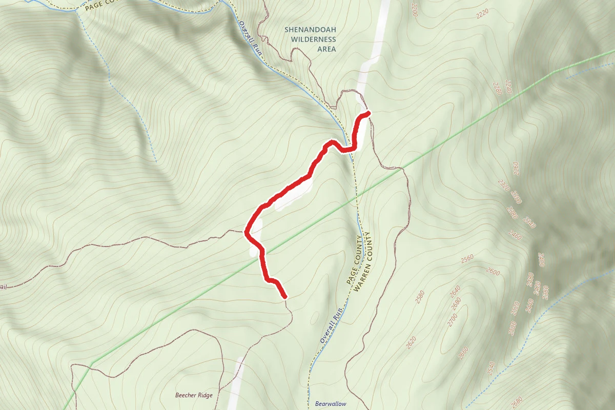 Mathews Arm Trail