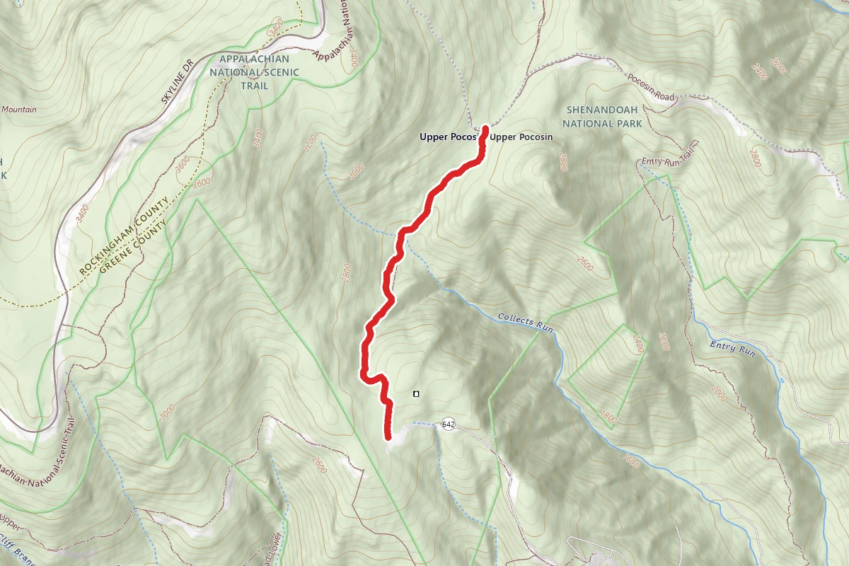 Pocosin Horse Trail