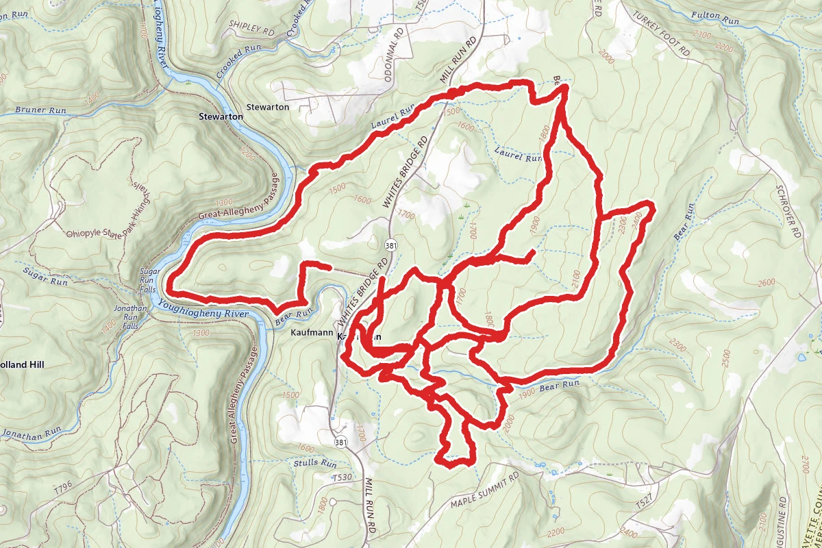 Bear Run Nature Reserve Trails