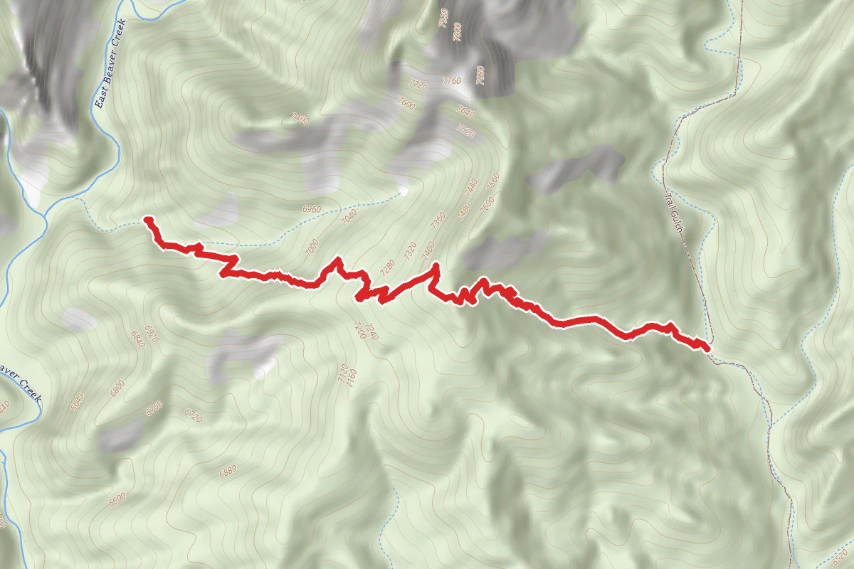 Powerline Looptrail Trail