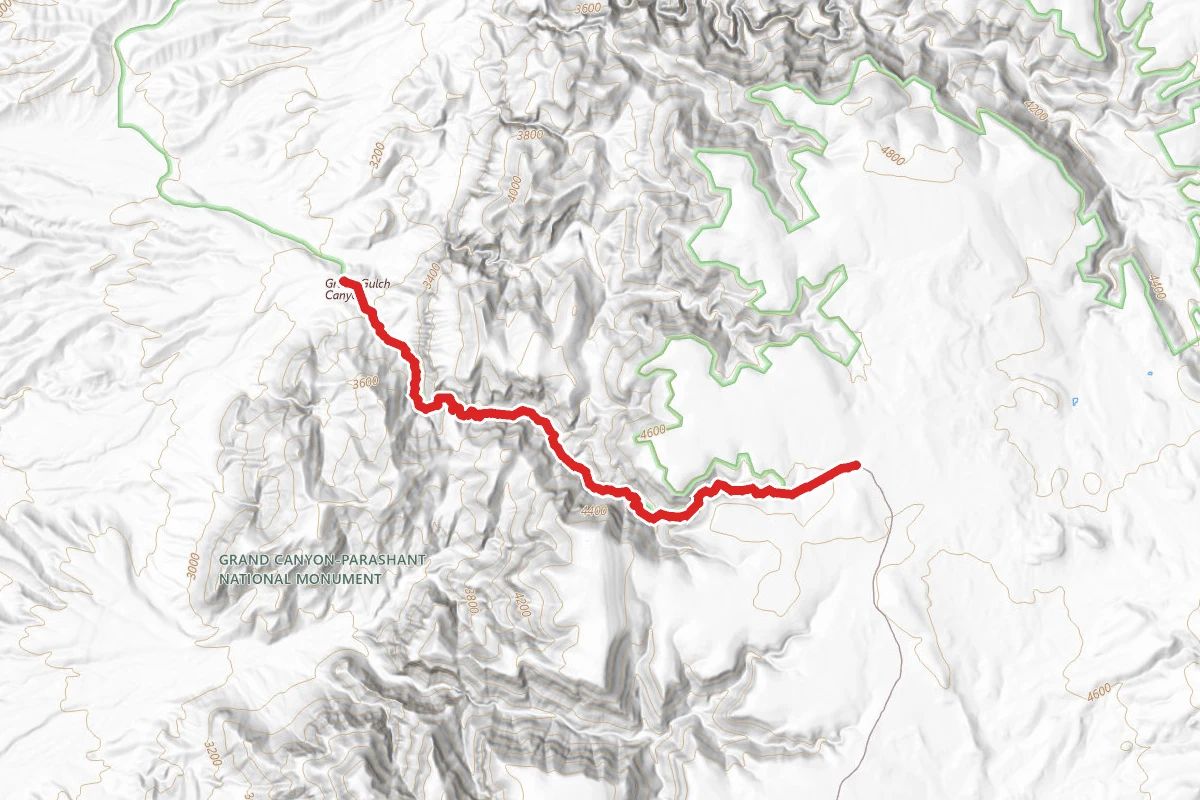 Grand Gulch