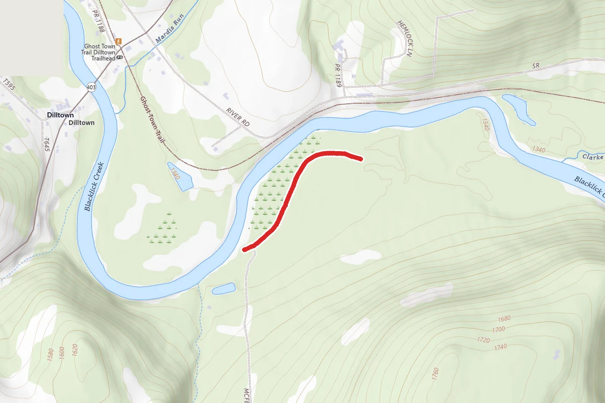 Wetlands Trail