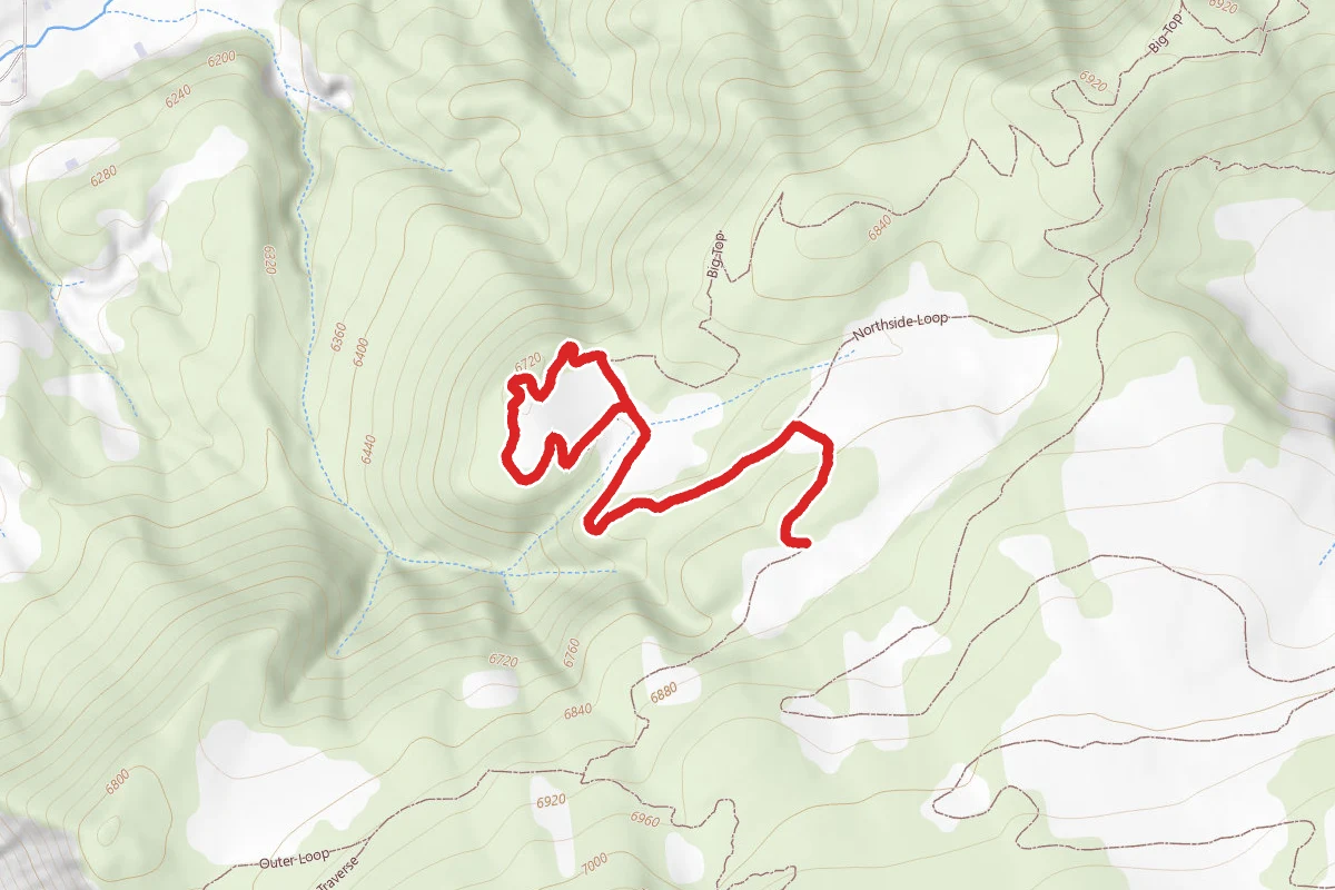 Sage Loop