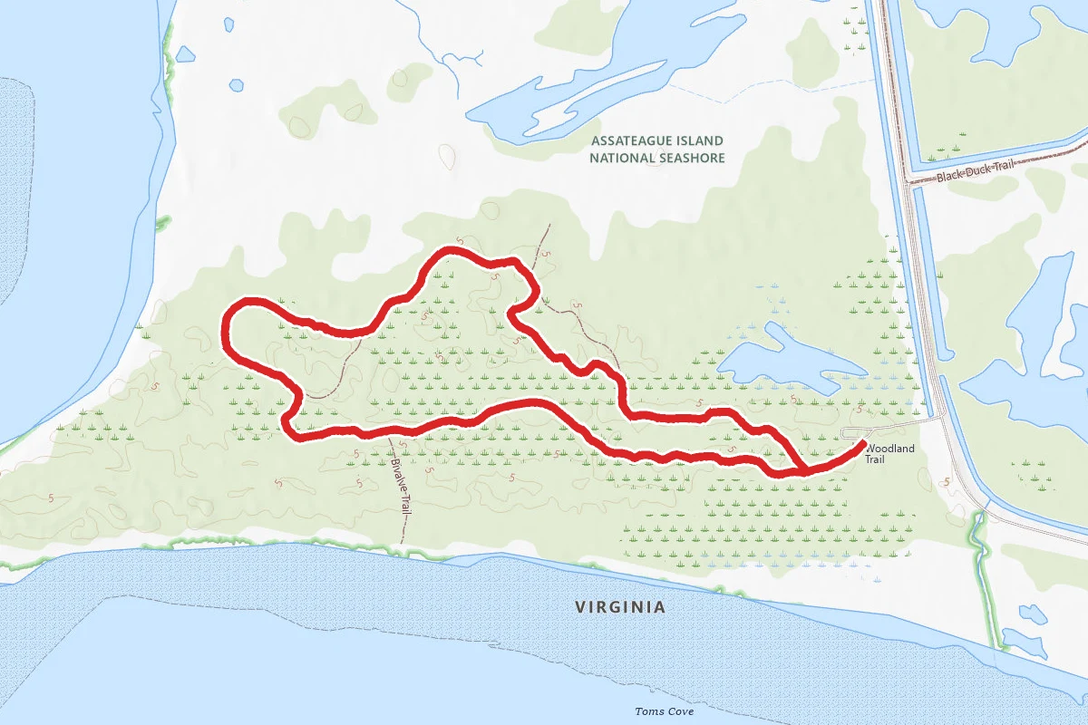 Woodland Trail
