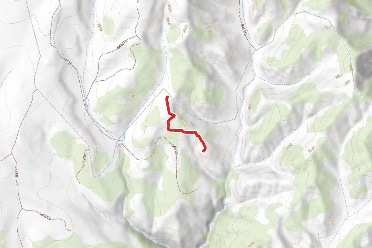 Blm Route 8453Ea