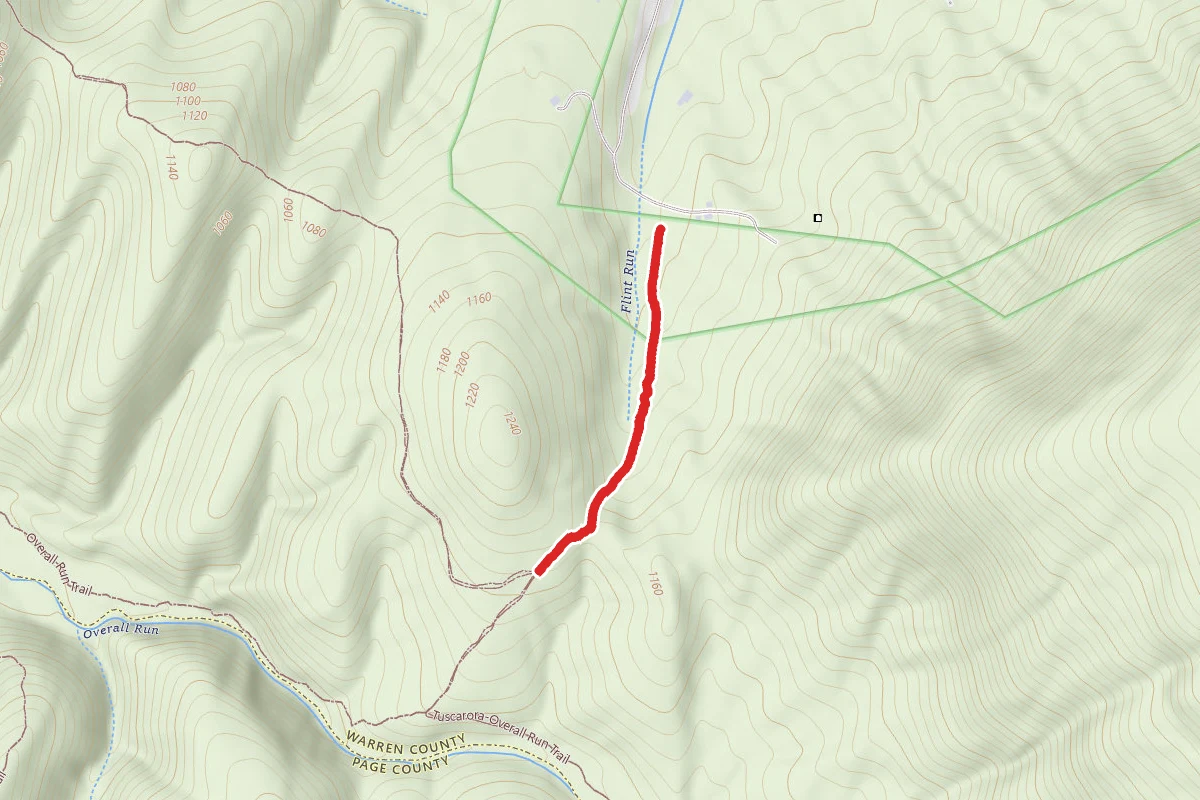 Thompson Hollow Trail