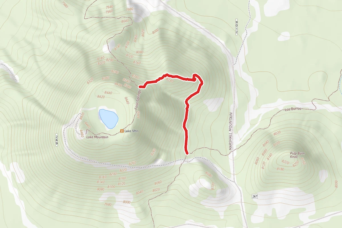 Four Springs Connector