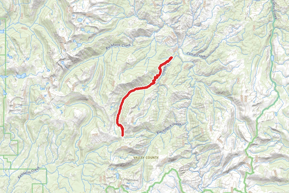 Cougar Creek