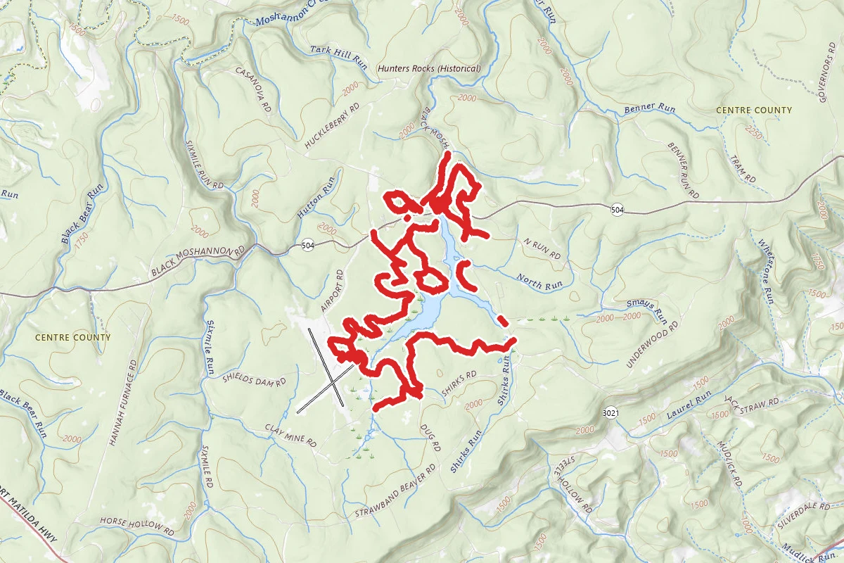 Black Moshannon State Park Trails