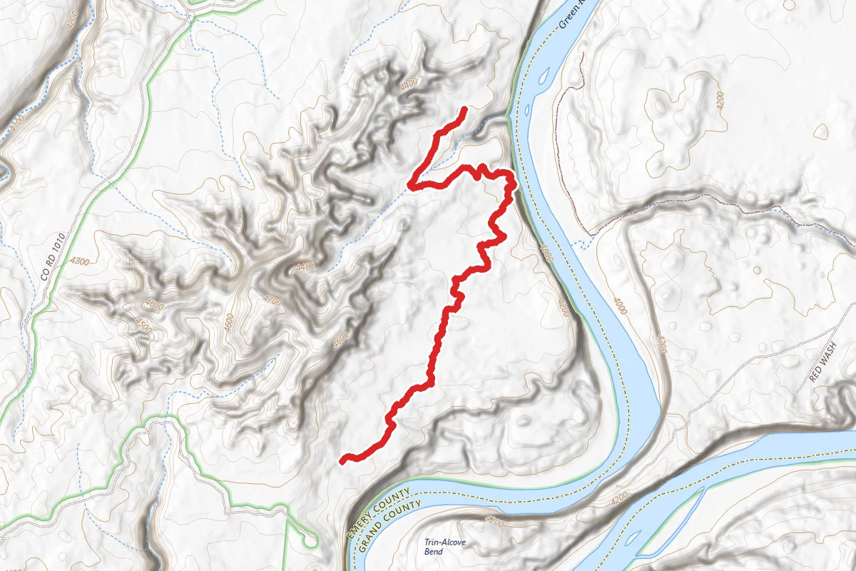 Bull Bottom