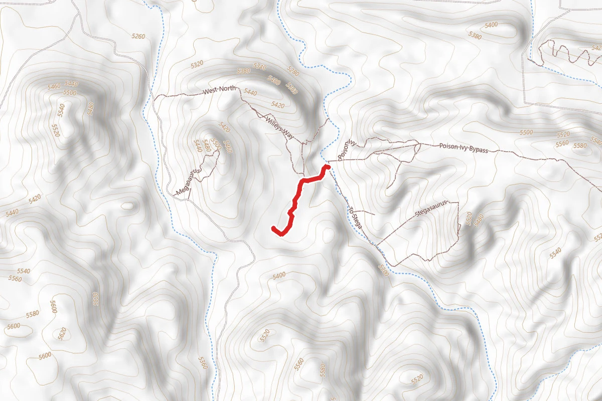 Entry Trail