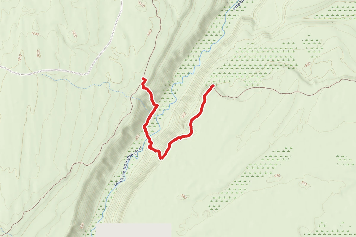 North Country Trail_Iron Belle Trail