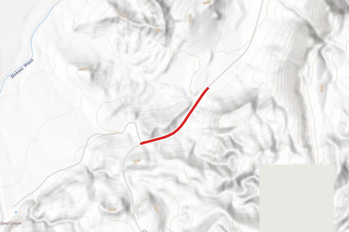 Quail Hill