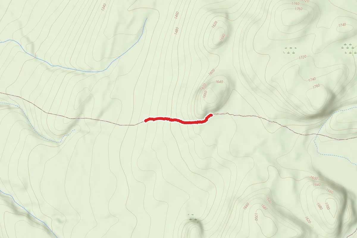 Porcupine Mountains State Park - Correction Line Trail